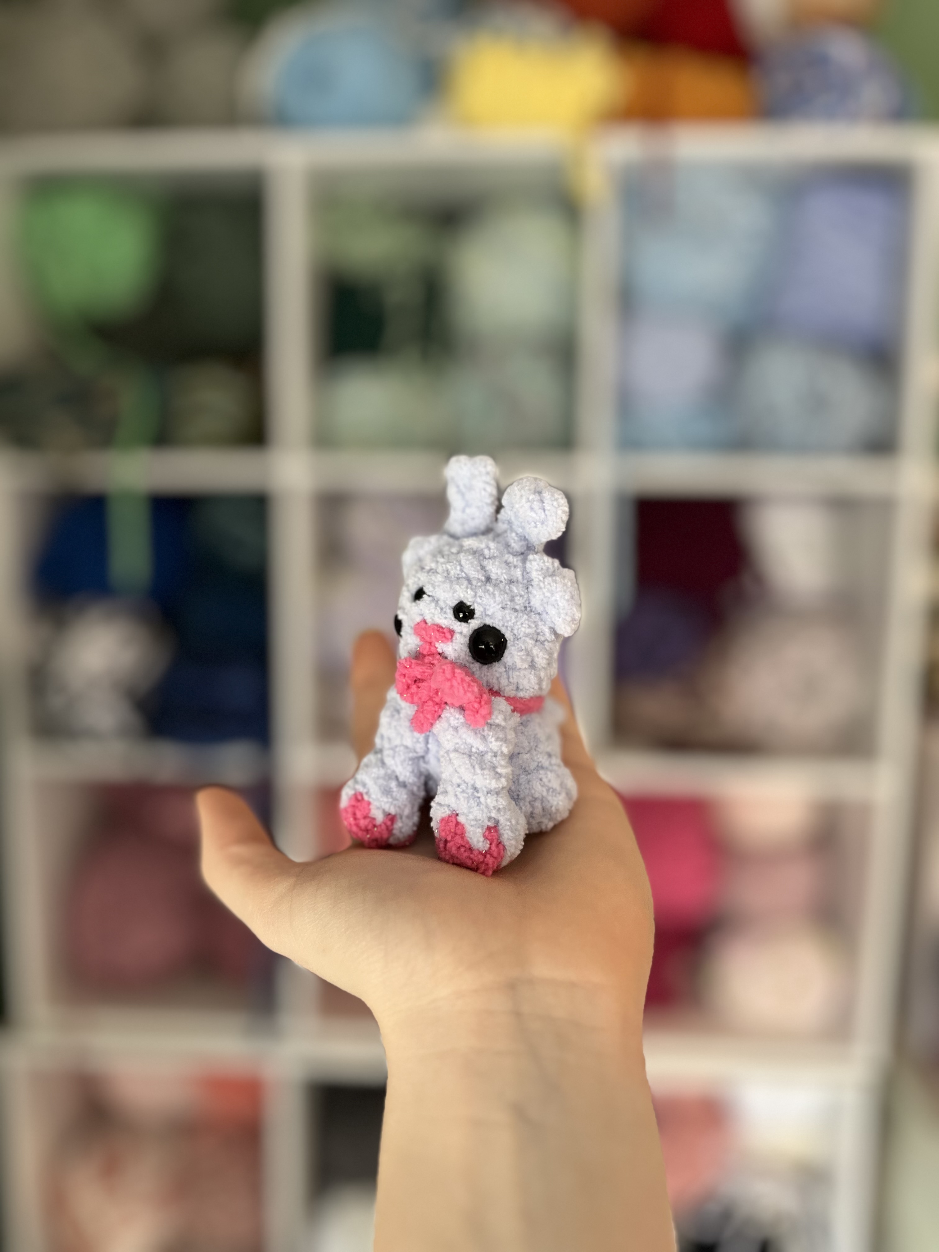 IMG_1383.jpeg