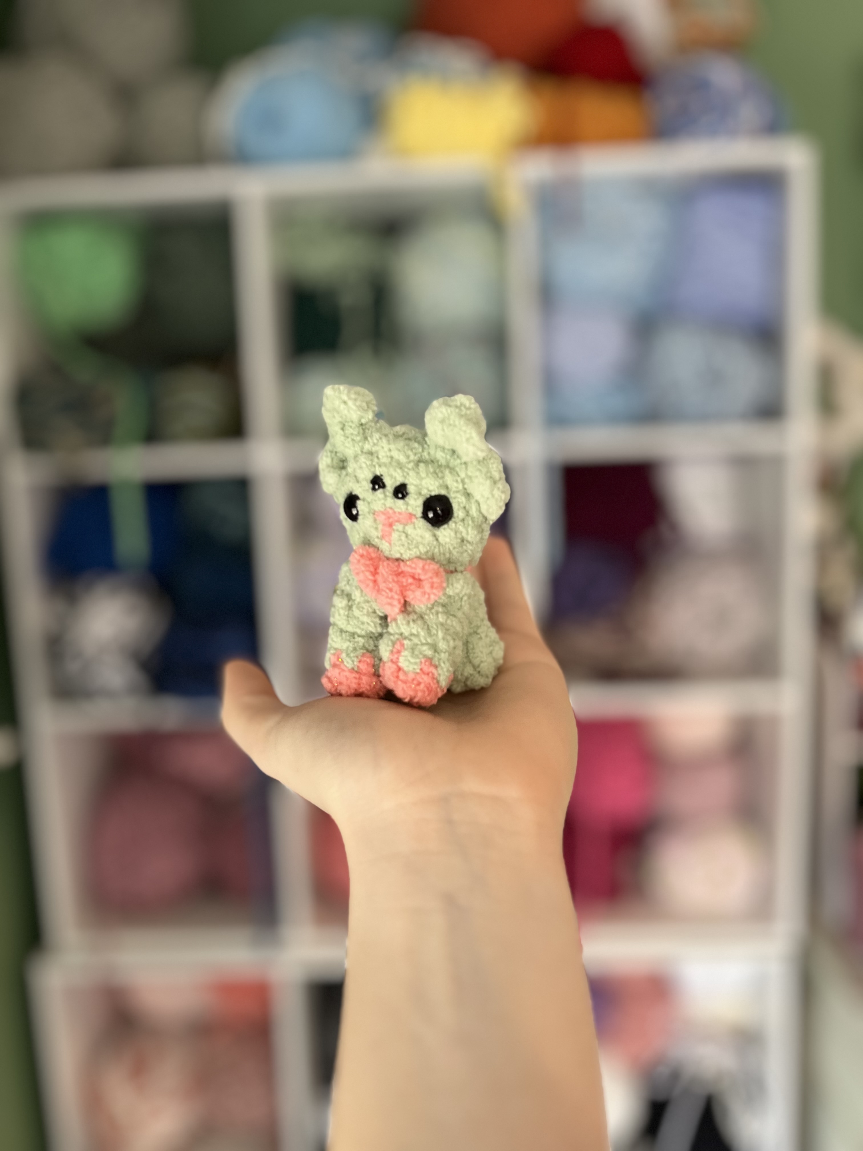IMG_1379.jpeg