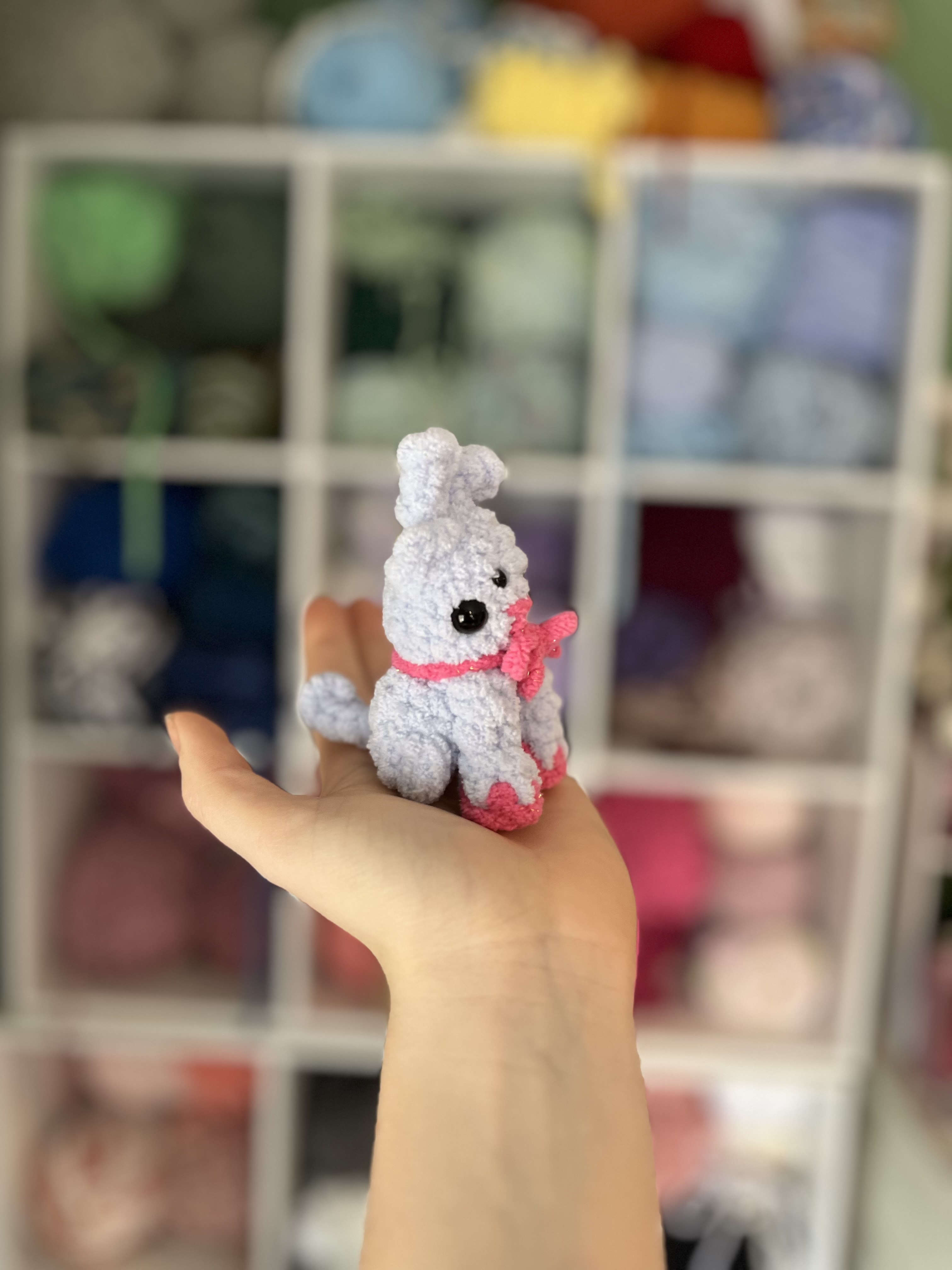 IMG_1381.jpeg